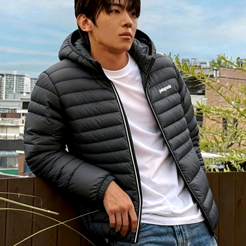 파타고니아 Patagonia 안감기모 헤비 경량패딩