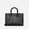 DIOR Lady D-Sire My ABCDior 라지 백
