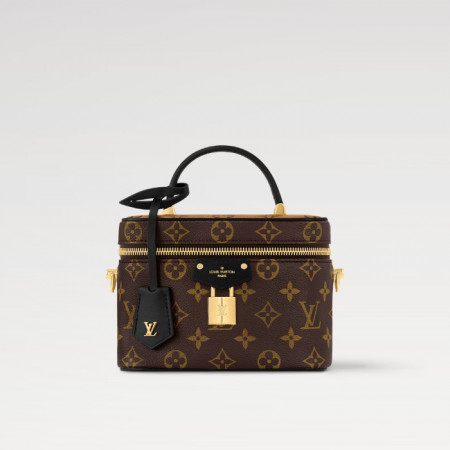 LOUIS VUITTON 베니티 PM - 모노그램